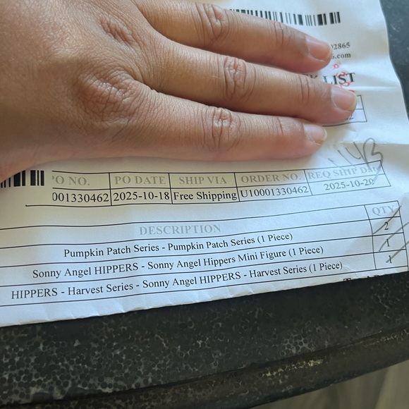 Sonny Angel Pumpkin Patch Series | Lop Ear Rabbit💜 - Picture 5 of 5